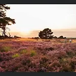 De Appelgaard Voeren Estate