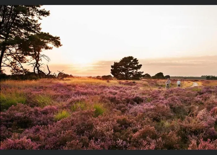 De Appelgaard Voeren Estate